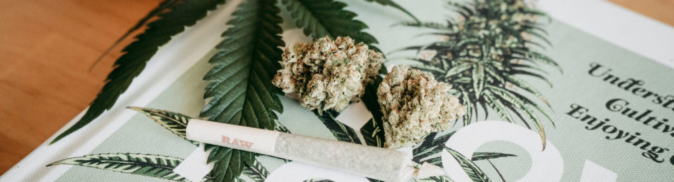 Is Your Wellness or Cannabis Company Ready for PR? Is Your Wellness or Cannabis Company Ready for PR?