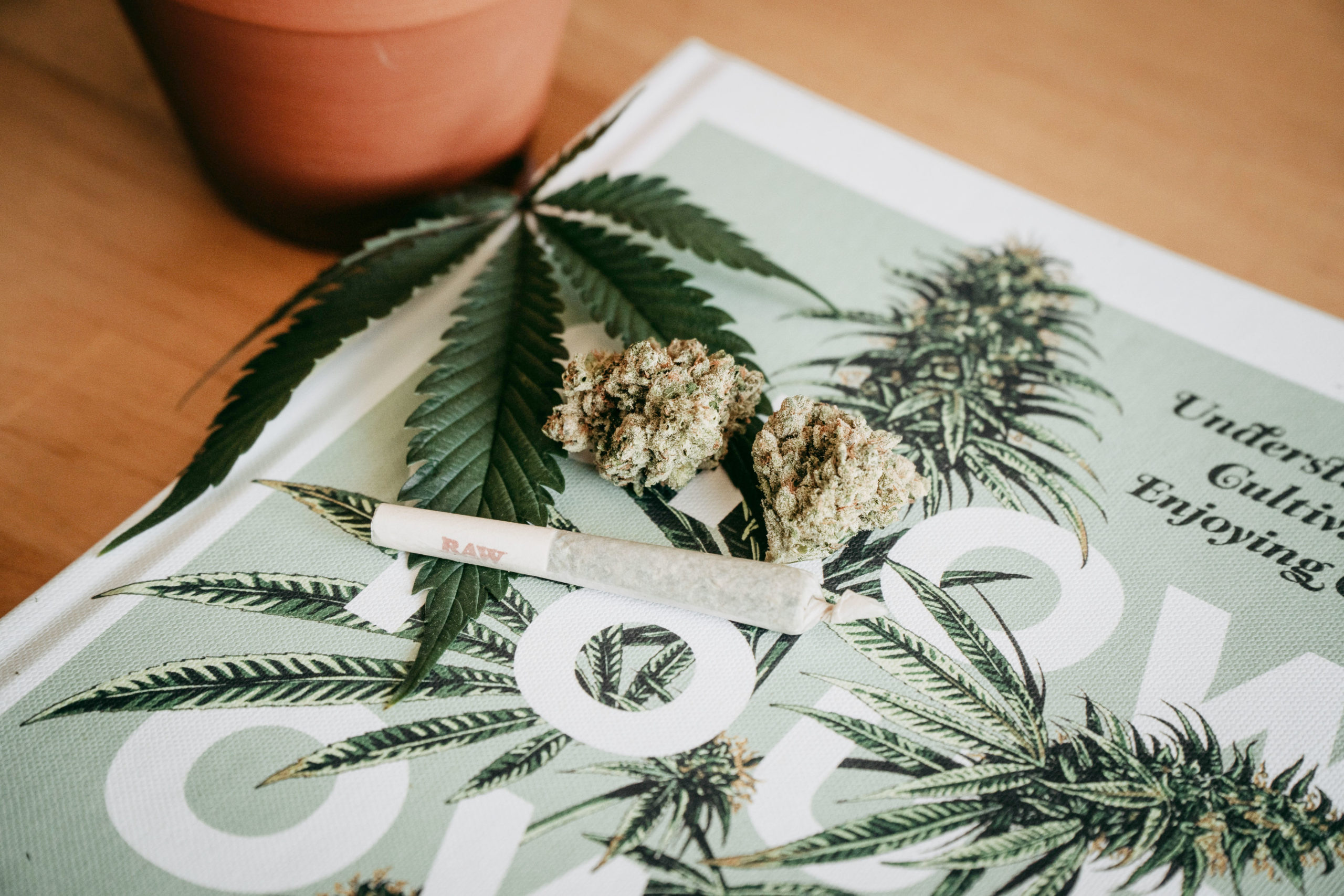 Is Your Wellness or Cannabis Company Ready for PR?