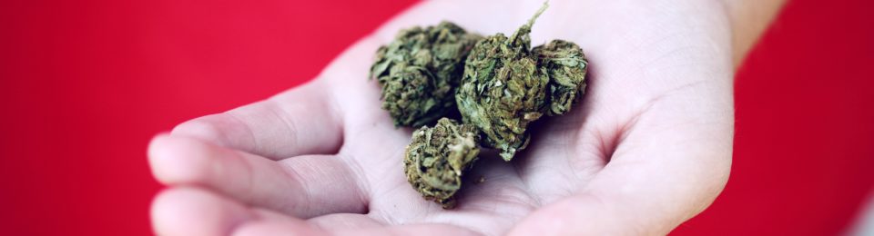 5 Important Cannabis Market + Consumer Trends for 2022 5 Important Cannabis Market + Consumer Trends for 2022